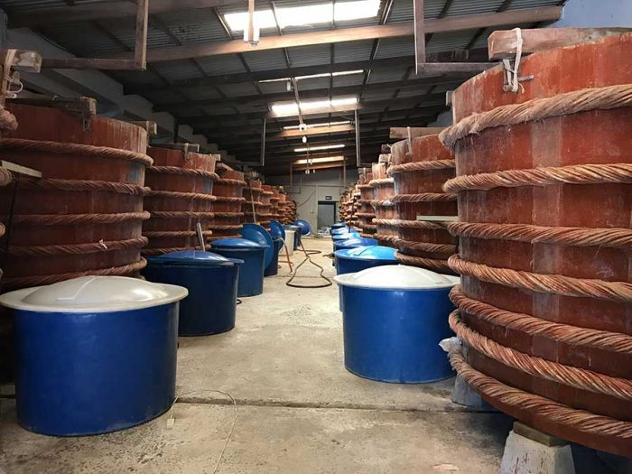 Nước mắm Phú Quốc - Đặc sản Phú Quốc