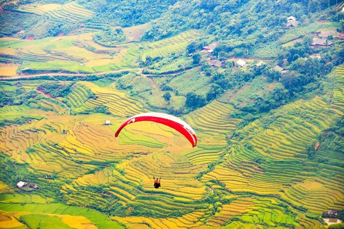 Bay trên mùa vàng Mù Cang Chải Yên Bái