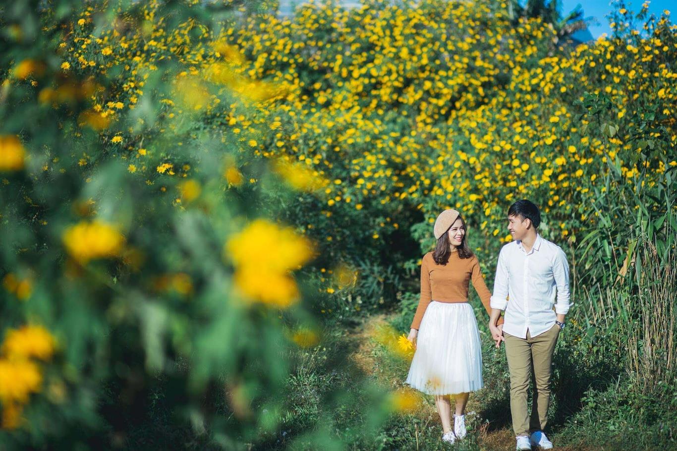 du lịch Kon Tum tháng 12 ngắm hoa dã quỳ