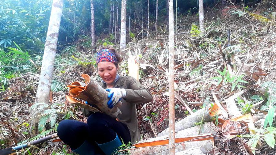 Đặc sản Bình Liêu làm quà
