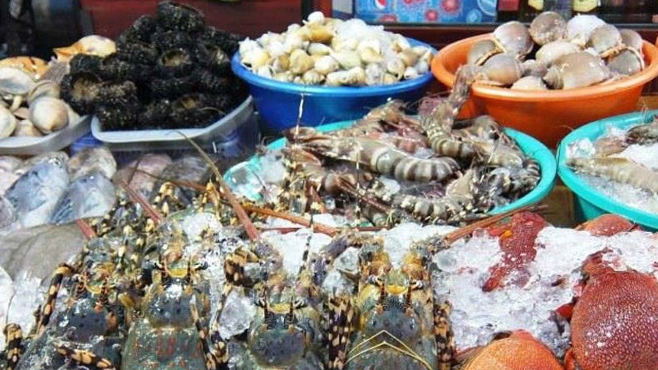Những món ngon và đặc sản Hải Phòng không thể bỏ lỡ 15 Hải sản Hải Phòng tươi ngon, đa dạng