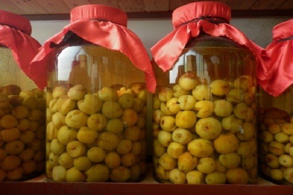 Rượu táo mèo