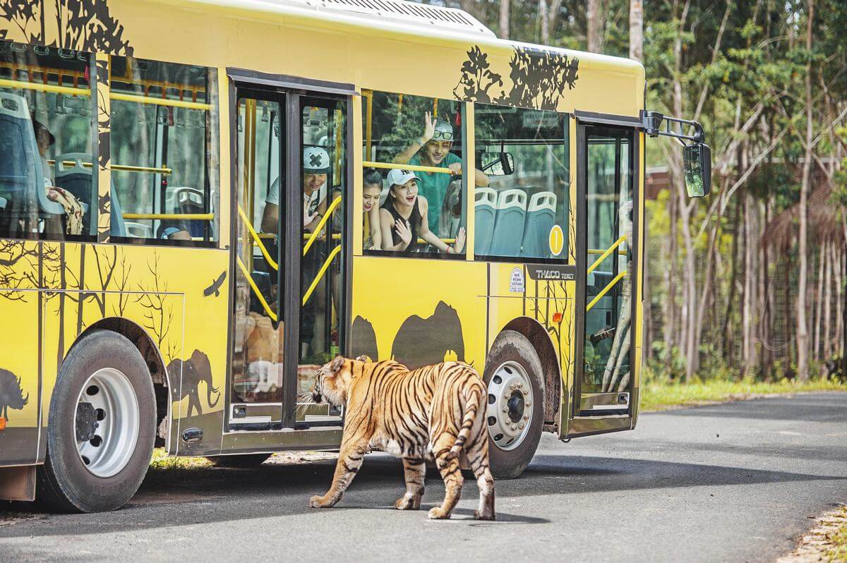 Khám phá Safari Phú Quốc