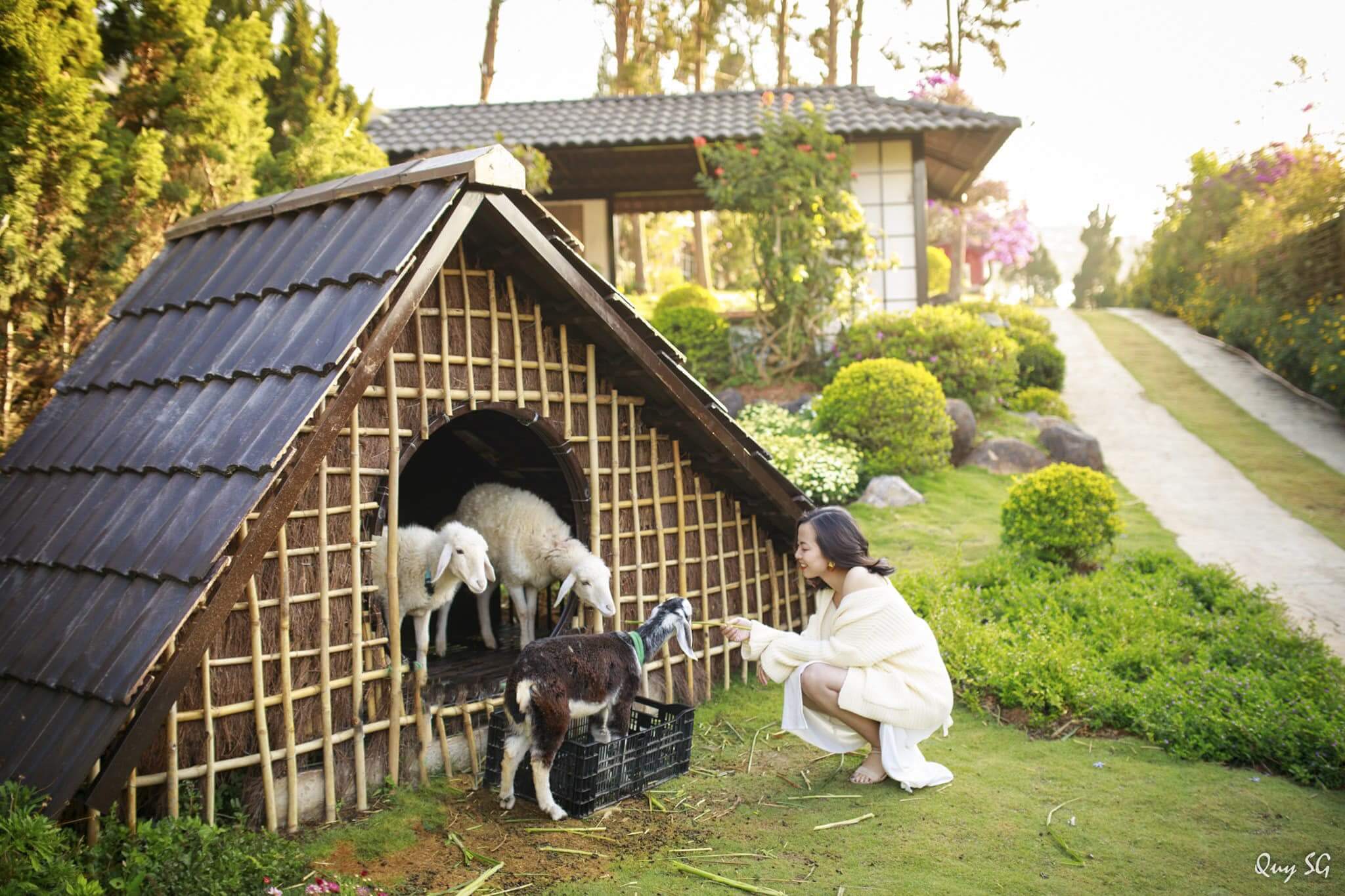 Que Garden Đà Lạt ở đâu?