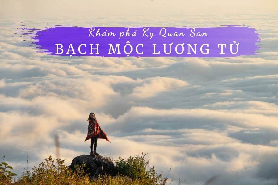 Gợi ý chinh phục Ky Quan San Bạch Mộc Lương Tử Lào Cai từ A đến Z 1 Bạch Mộc Lương Tử Ky Quan San
