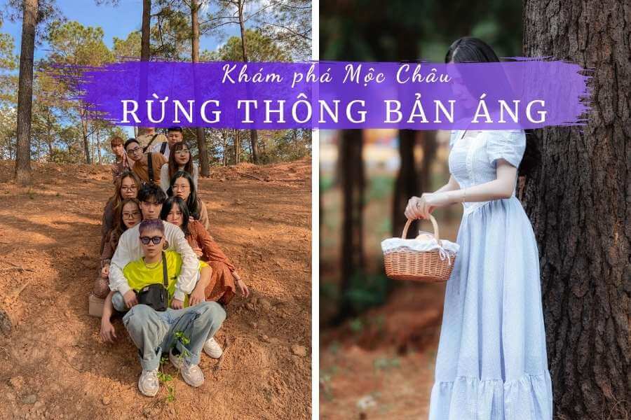 Review rừng thông Bản Áng: Nơi cắm trại lý tưởng ở Mộc Châu 2 Review rừng thông Bản Áng Mộc Châu Sơn La