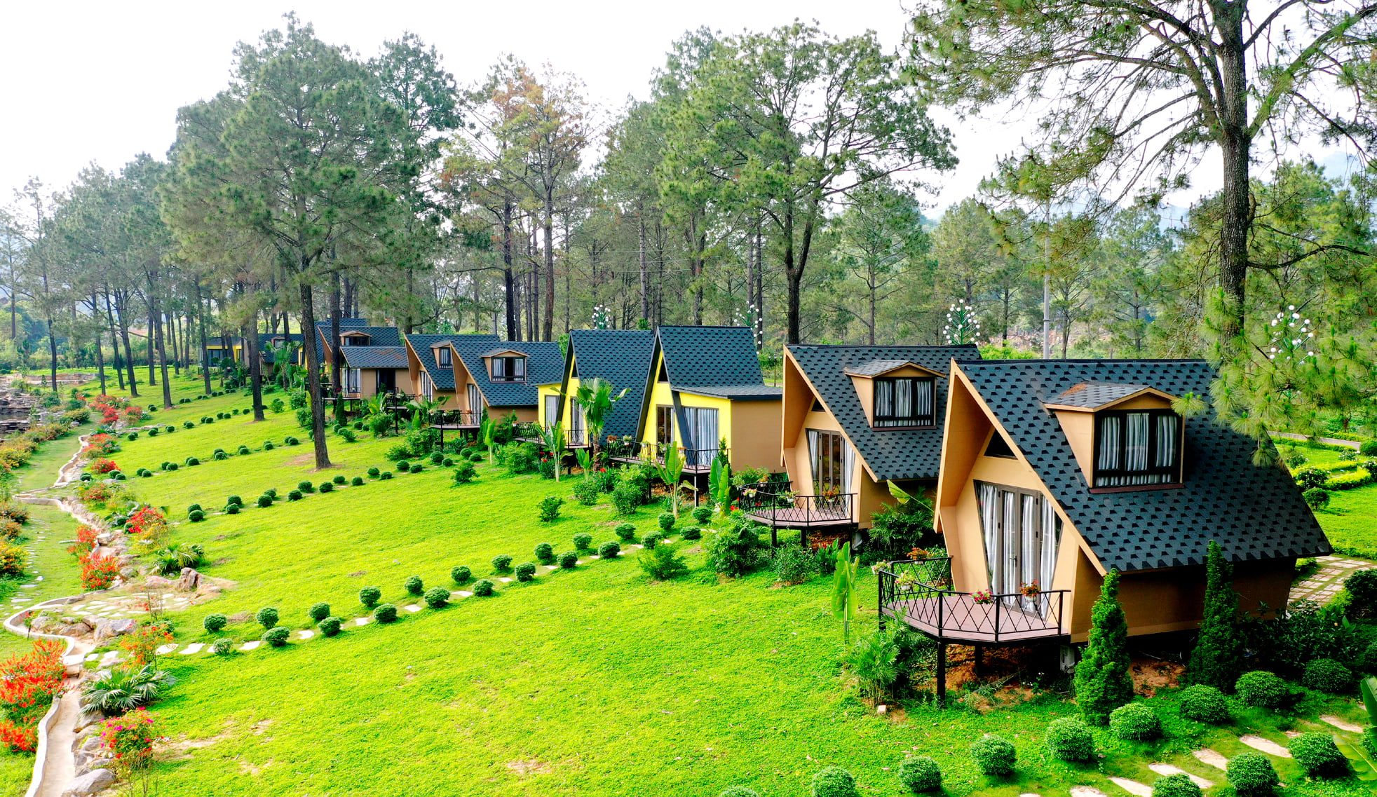 Giá vé tham quan khu du lịch rừng thông Bản Áng