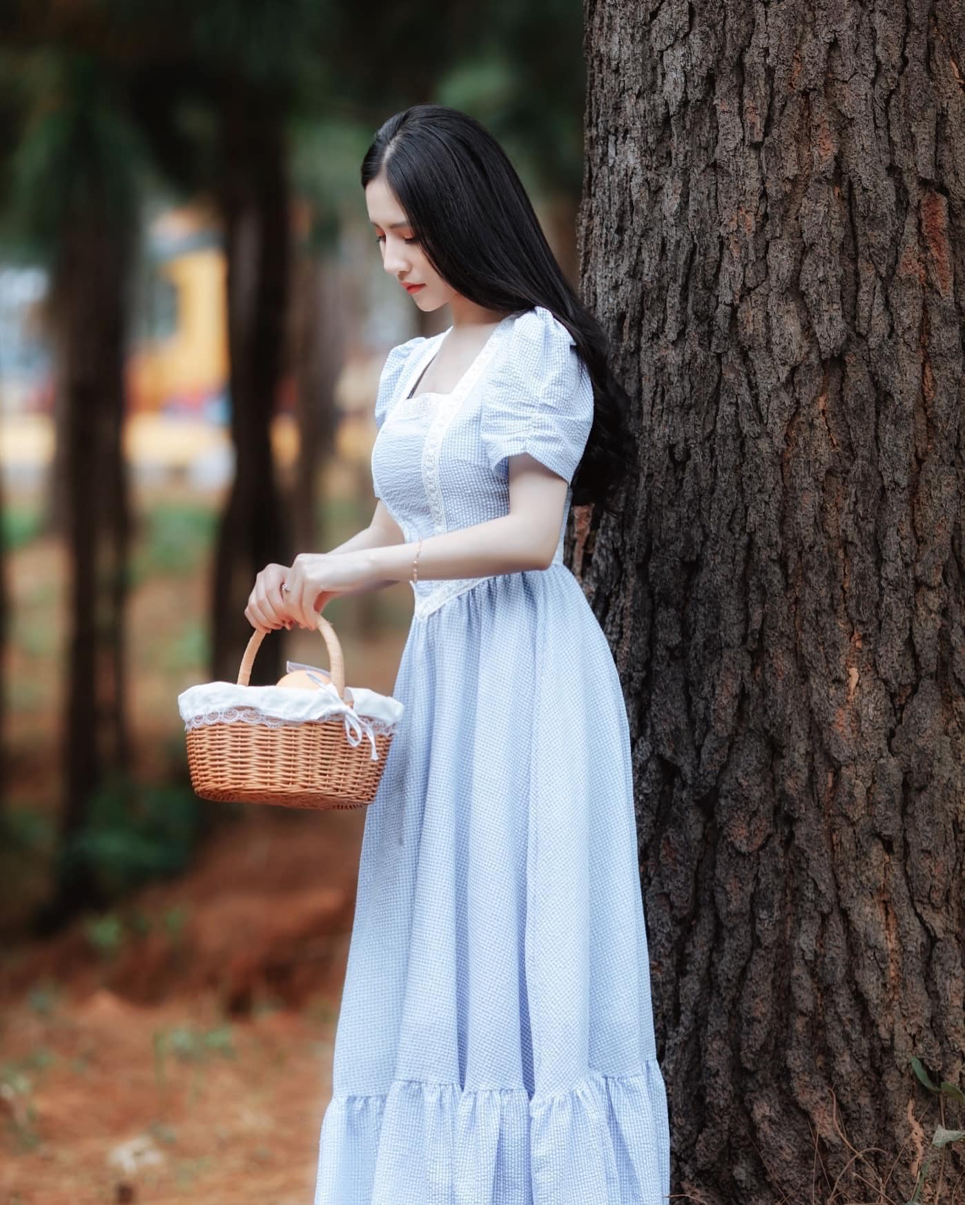 Những trải nghiệm nên thử ở rừng thông Bản Áng