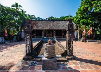 hoa lu