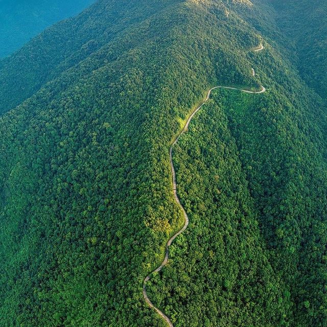 Bach Ma Trail