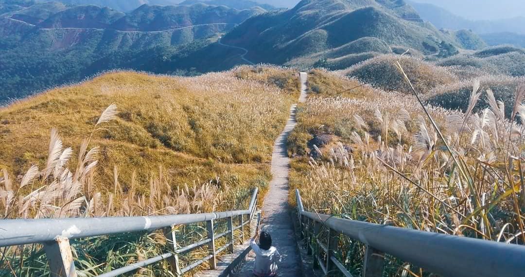 binh20lieu