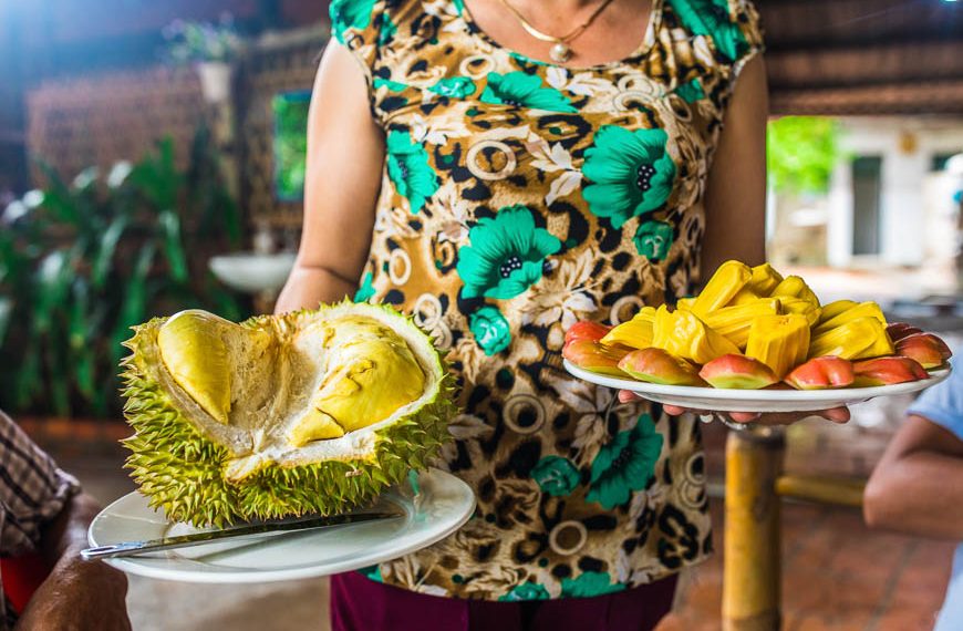 5 Unique Towns in the Mekong Delta: A Travel Guide 6 Mekong Delta guide