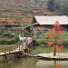Make a Beeline for The 10 Most Beautiful Villages in Vietnam 18 cat20cat20village
