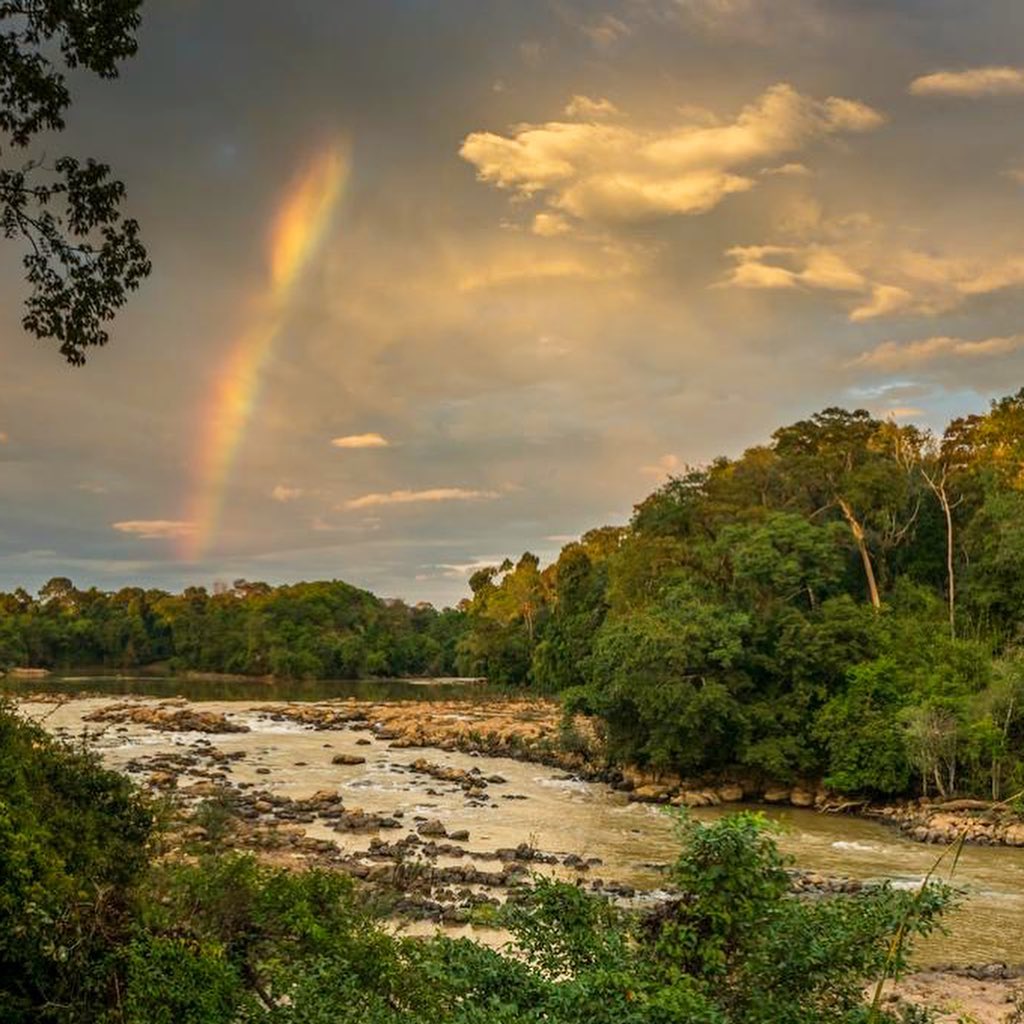 Biking Bliss: Experience Vietnam's Top Cycling Destinations 13 Cat Tien National Park - Photo: @gomingotravel