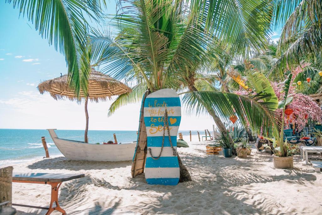 10 Best Campsites in Vietnam 14 Coco Beach Camp