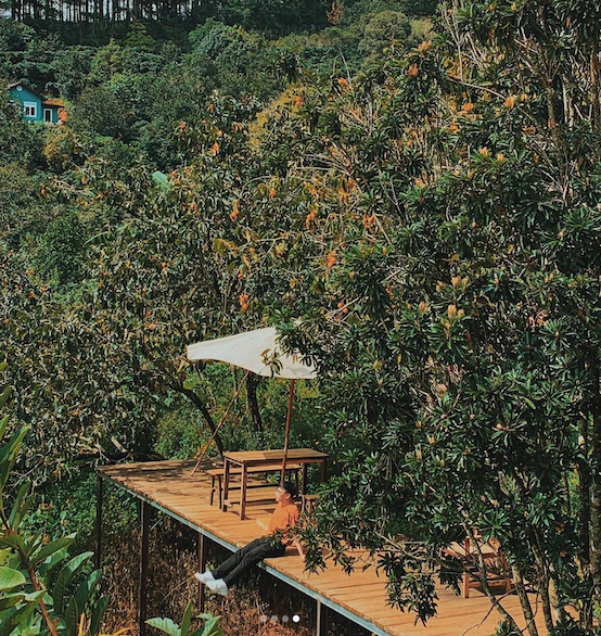 3 Most Romantic Travel Destinations in Vietnam 5 Sun View Valley - Photo: @tir.minl