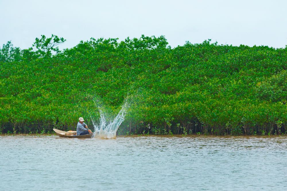 A fisherman catching fish in Xuan Thuy natural reserve area - Photo: David Nguyen VN / Shutterstock.com