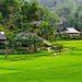 ethnic20cultivate20 20mong20village