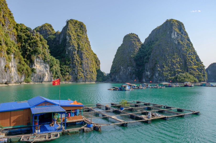 Cat Ba Island: A Natural Paradise on Lan Hạ Bay 5 Photo by @ Greg McDougall