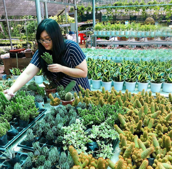 Make a Beeline for The 10 Most Beautiful Villages in Vietnam 21 Sa Dec Flower Village