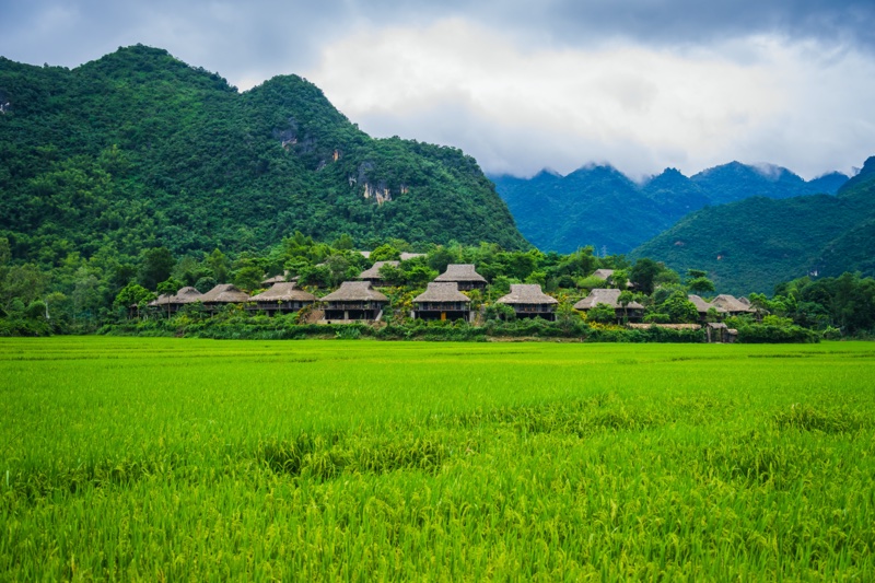 Mai Chau: A Hidden Gem in Northwestern Vietnam 6 Beautiful rice field and local houses in Mai Chau