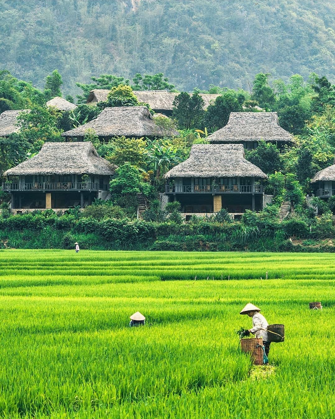 Natural beauty of Vietnam