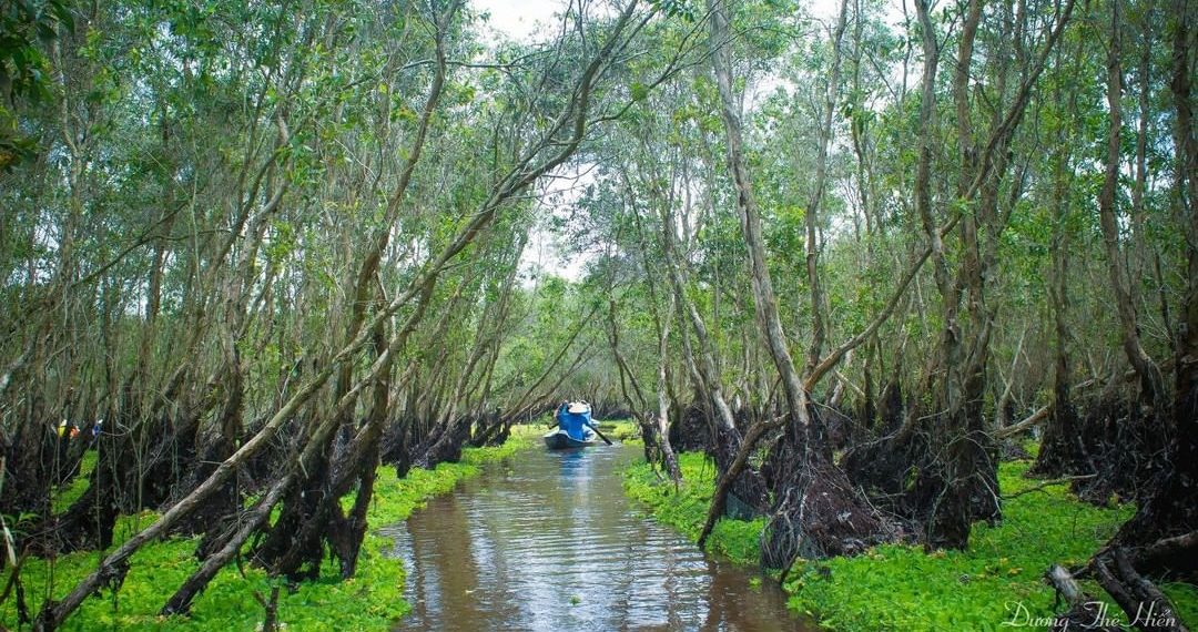 Biking Bliss: Experience Vietnam's Top Cycling Destinations 9 mekong20delta