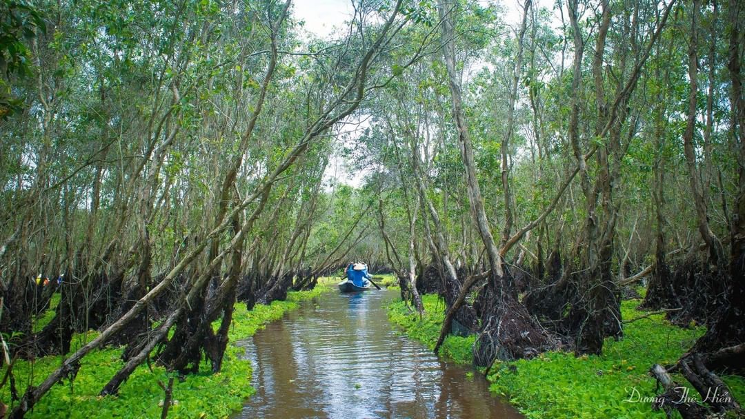 Biking Bliss: Experience Vietnam's Top Cycling Destinations 12 Mekong Delta - Photo: @tripzozo