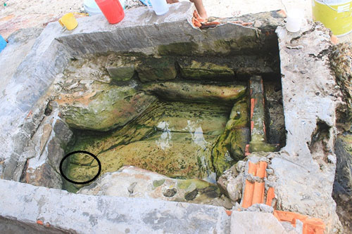 The Enchanting Phu Quoc Magic Well 3 Phu Quoc Magic Well
