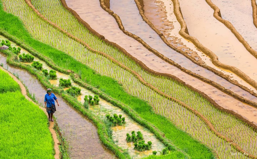 planting20in20rice20terraces_i9egbsx