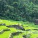 Pu Luong: A Nature Lover's Paradise 12 terraced rice paddy fields in Pu Luong