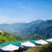 sapa