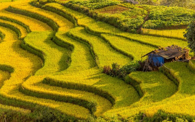 vn-natural-destination