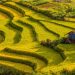 vn-natural-destination