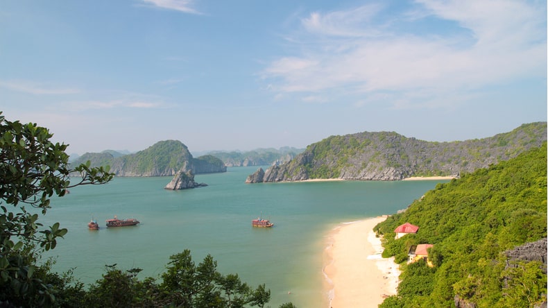 Monkey Island (Cat Ba)