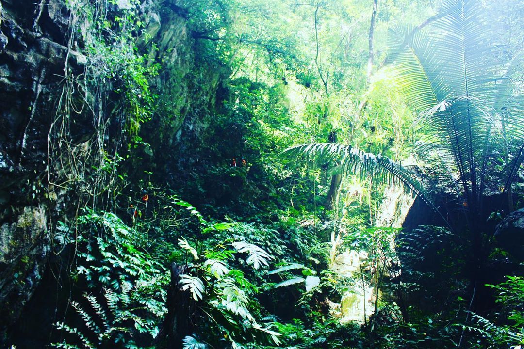 Explore further