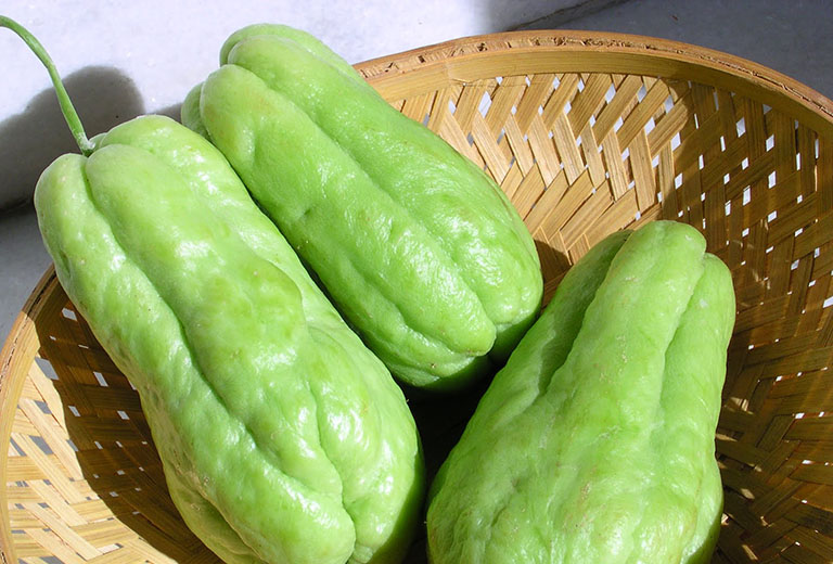 The Most Popular Vegetables in Vietnam 14 Su Su / Chayote