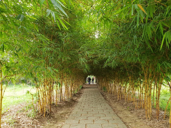 Make a Beeline for The 10 Most Beautiful Villages in Vietnam 18 Thuy Bieu Village