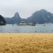 titopisland 1