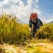 4 Reasons You'll Fall in Love with Mu Cang Chai Travel Guide 12 mu cang chai vietnam tourism