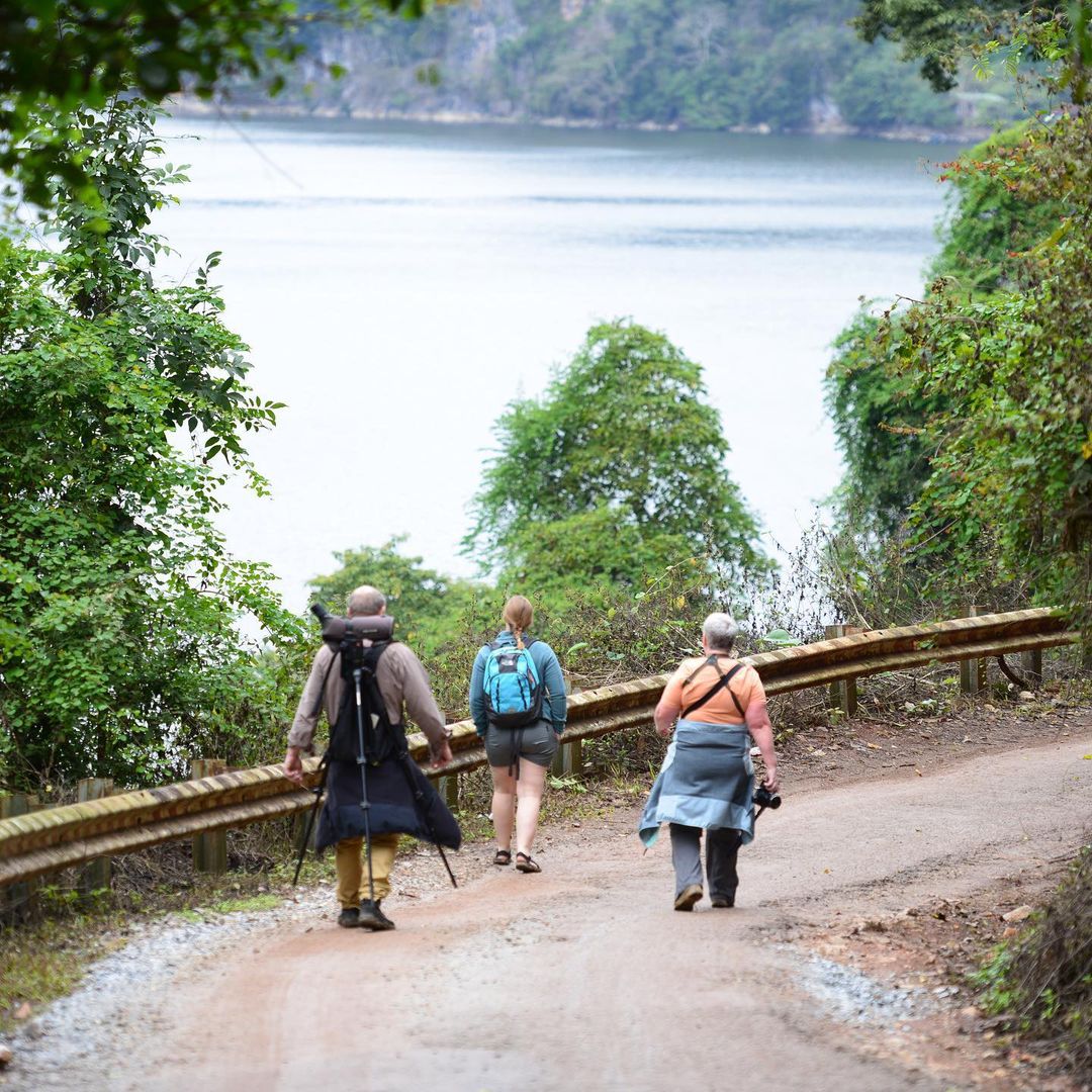 Trekking