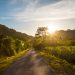 vietnam marathons 2019