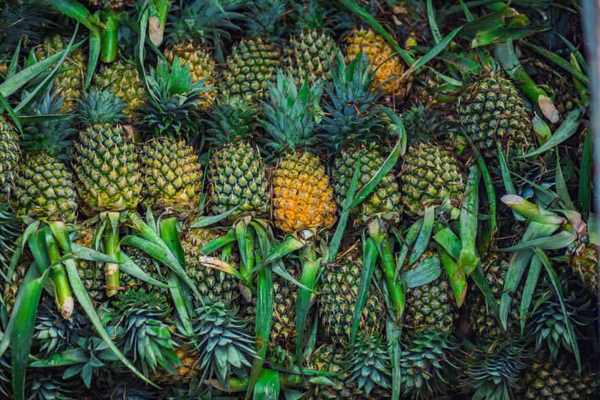 5 Reasons Can Tho Will Capture Your Heart 8 Mekong Delta Tropical Fruits