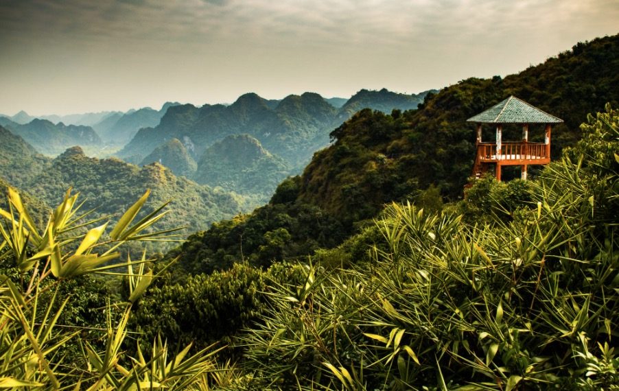 Cat Ba National Park: Nature's Paradise 3 vno cabapark2