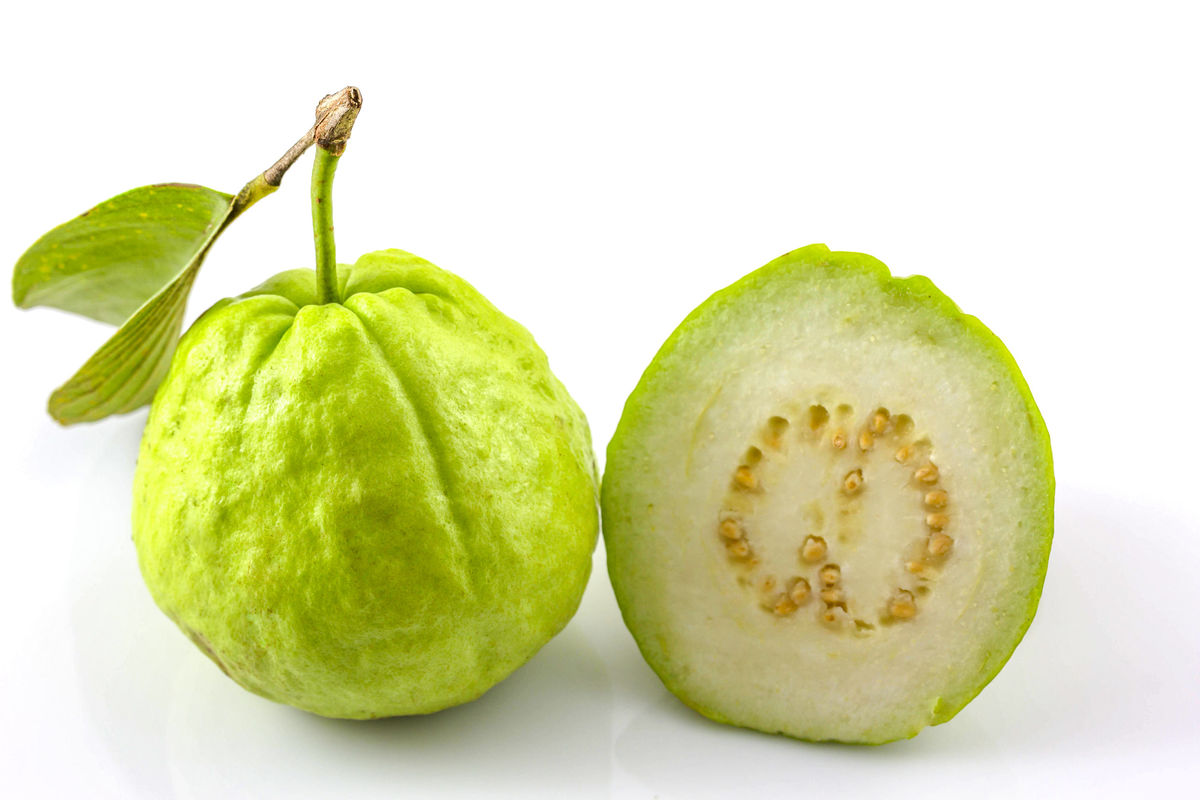 Guava: A Delectable Tropical Fruit with Incredible Health Benefits 5 Guava