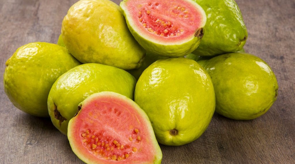 Guava: A Delectable Tropical Fruit with Incredible Health Benefits 4 vno guava1