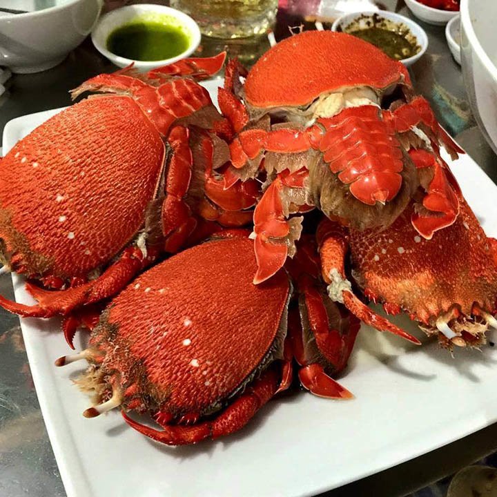 Ly Son Island: A Hidden Gem Waiting to be Explored 12 Seafood