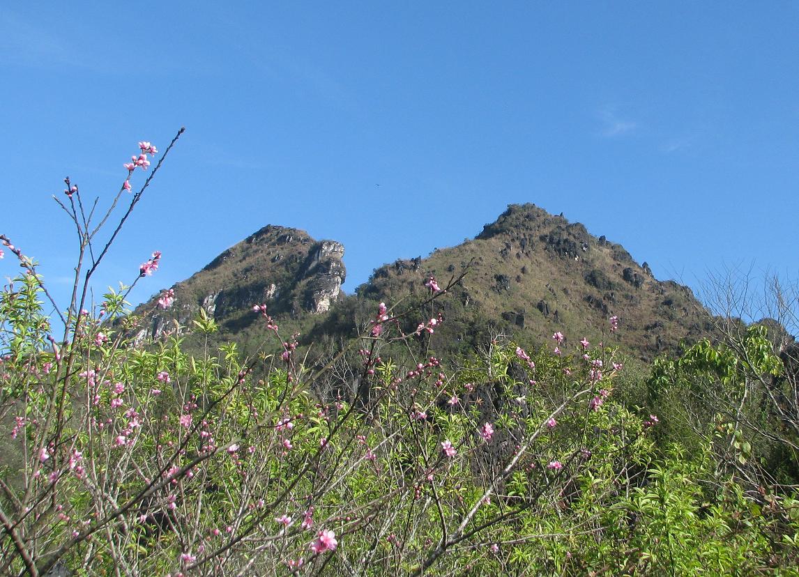 Discover the Beauty of Ham Rong Mountain 5 Mountain View