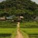 Explore the Untouched Beauty of Pu Luong Natural Reserve 5 vno puluong2
