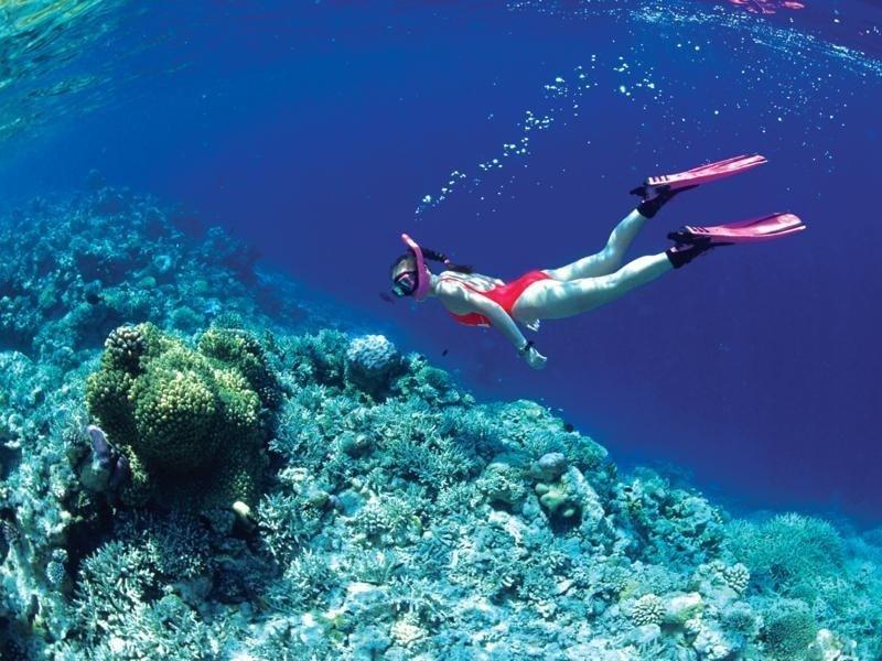 vno-snorkling3ascuba-diving20vinh20hy